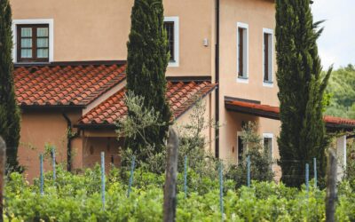 Jak uprawiać warzywa na podwyższonych grządkach?