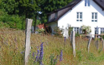Wybór idealnej działki pod budowę domu – na co zwrócić uwagę?